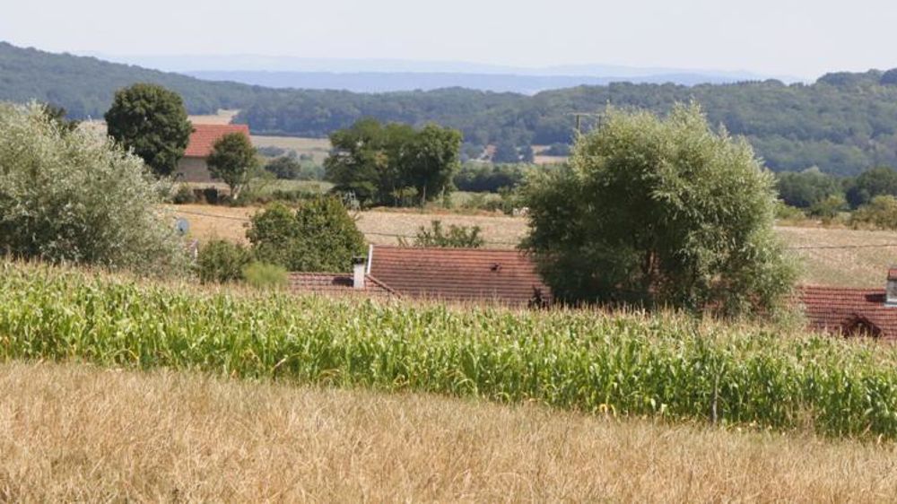 « Obliger les agriculteurs à engager des dépenses de semences et de façons culturales pour ne pas obtenir de levées des graines implantées n’a aucun sens », selon la Coordination rurale. © P. Peeters/GFA
